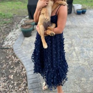 Lulus navy butterfly appliqué midi dress